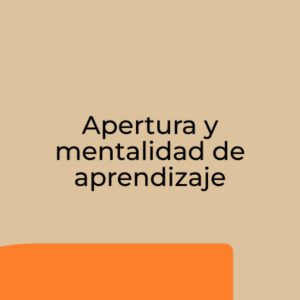 habilidad-2